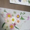 서리당 이미지