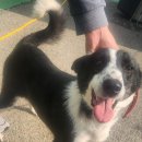 광양읍 세풍초등학교 이미지