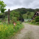 부울경의 올곧은 소리( 시민시대 9월호) - 노동시간 유감 이미지