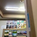 금복식당 네이버블로그