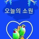 창이 행정사 사무소 이미지