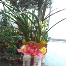 성신전기공업 이미지