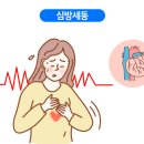 세동 이미지