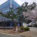 부경대학교 구도서관 임시개관 후기