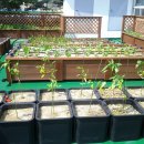 대덕종합사회복지관 이미지