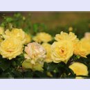 곡성-078 이미지