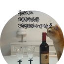 유심천 건강랜드 | 순천 집들이 선물/순천 로얄샬루트판매[블루하우스]