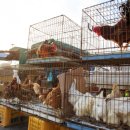 민속해안로 이미지