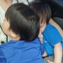 테크노대로 | 국립대구과학관 골 때리는 뇌과학 전시 후기