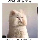 김형제고기의철학 전주효자점