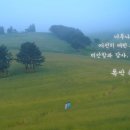더색감