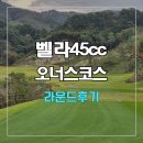 벨라 이미지