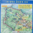 고골전주한정식 | 남한산성, 행궁- ( 2021.03.02 )