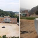 인천공항초교 신도분교 이미지