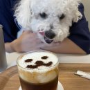 설기커피(coffee) 이미지