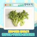 누리녹즙