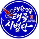대한민국 태극시범단 이미지