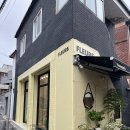 코브파리 | 대구 중구 삼덕동 :: 신상 꽃집 [코브 파리(kove paris)]에서 구매한 미니 꽃다발 후기(15,000원)