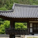 세종SJ행정사사무소 이미지