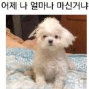 모먼트 당구장 | 열정은 있는데요