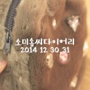 솜씨옷공방 이미지