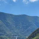 더조은펫 - 미추홀구 경인로 350-1 | 더조은펫