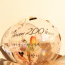 라비나플라워 이미지