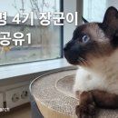 장군이2