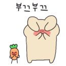 금금수수 이미지
