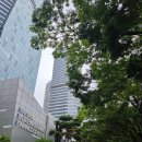 부산은행(범내골) | 부산 웨딩홀 후기 교통 주차편한 아바니웨딩홀 투어