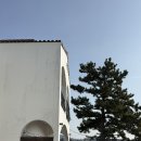 귤낭귤낭 | [제주서귀포숙소] 귤낭하우스 내돈내산 후기