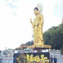 선산주식회사
