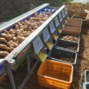 성근농장 이미지