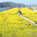 낙동강변13 이미지