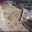 포항시북구2 이미지