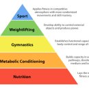 크로스핏 오송 이미지