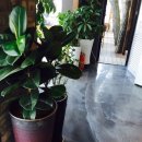 Cafe 구산블루스 이미지