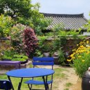 나빌레라 스테이 이미지