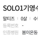 멍냥캉스 이미지