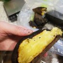 모닥불가든 이미지