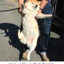 NR-42[경인로]-하-12 | 귀차니즘의 돌아온 븰로그🤩