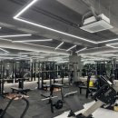 디데이짐 이미지