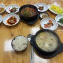 본우리집밥 KBS부산점 | 부산KBS방송국 근처 도모헌 강연장 다할 부산스토리 카페 헬멧 강연후기 정식맛집 꽃물 한식당 혼밥후기