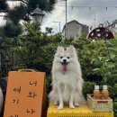 엔젤펜션 이미지