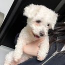 골든벨 노래방 | 1월 &amp; 2월