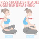 유어필라테스스튜디오 이미지