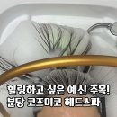 꽃님미용실 - 남해군 남서대로 788 | 분당 코즈미코 헤드스파, 더꽃님뷰티랩 솔직후기