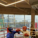 STORM BOXING 이미지