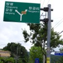 도그엔조이 이미지