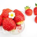 겨울 대표 열매채소 ‘딸기’로 입맛 살리고 건강 챙기고- 7~8알이면 성인 하루 비타민 시(C) 권장 섭취량 충분 - 이미지